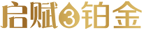 启赋3 铂金