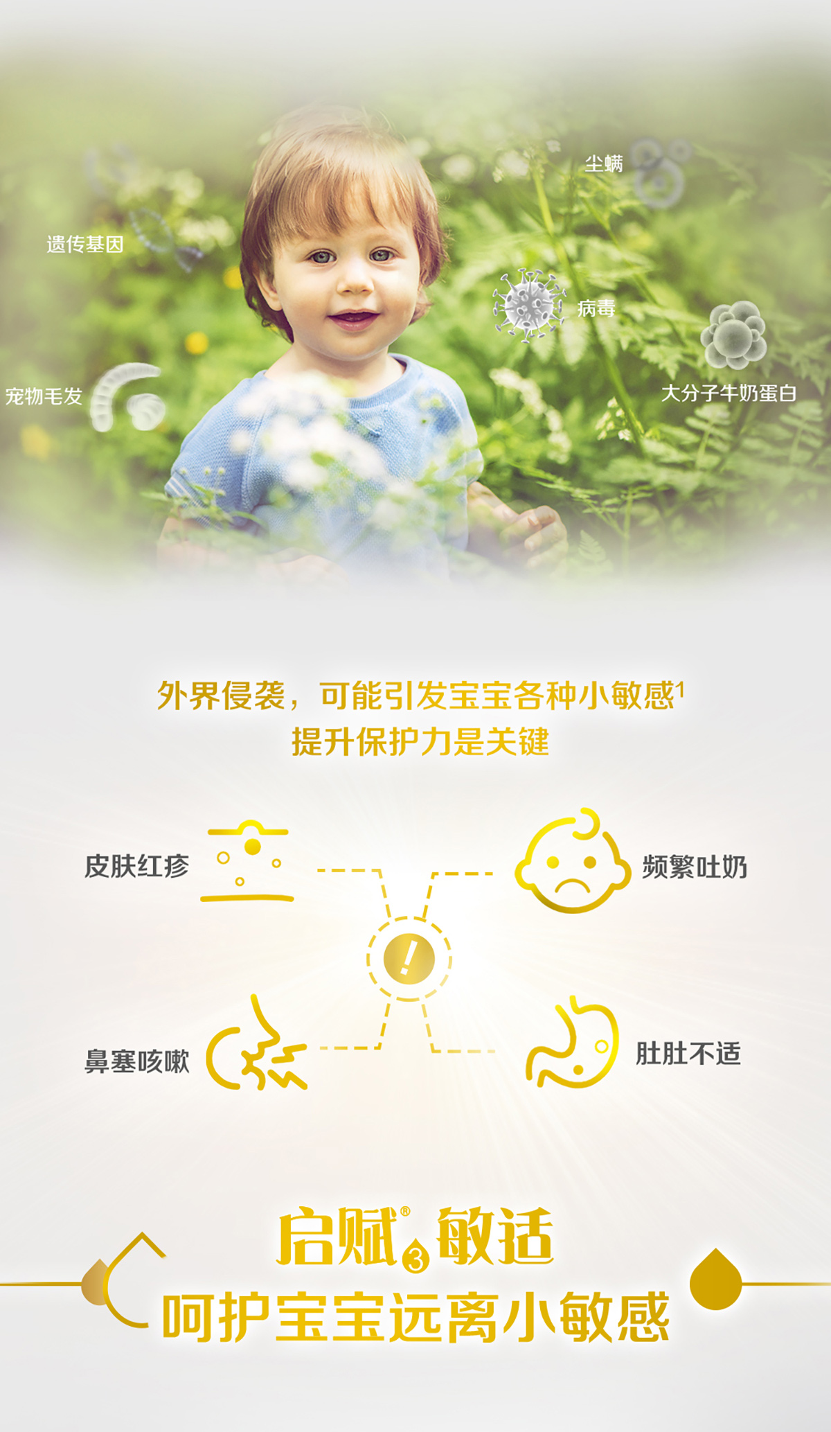 启赋3敏适 启赋3敏适