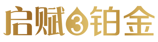 启赋3铂金