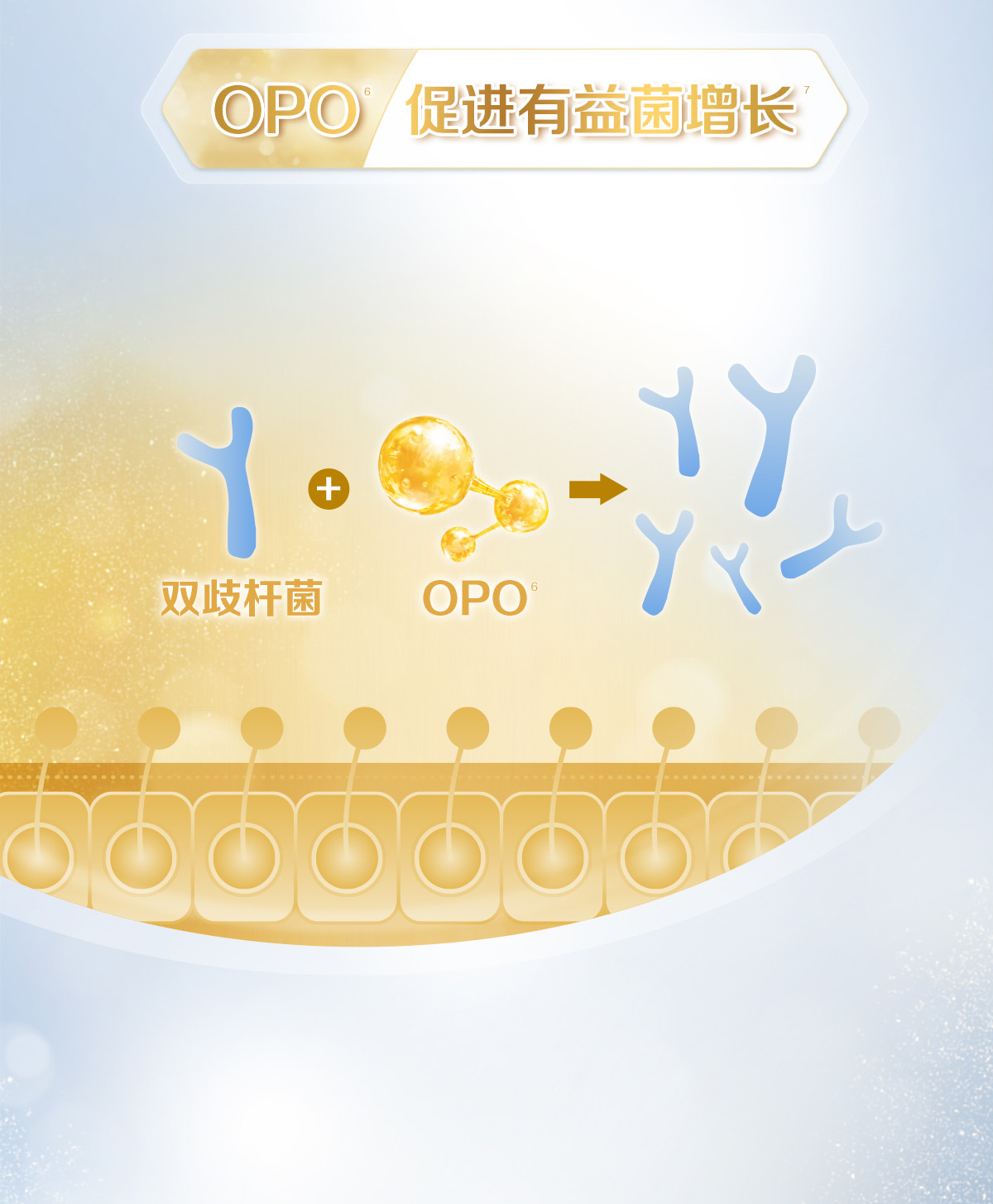 金选