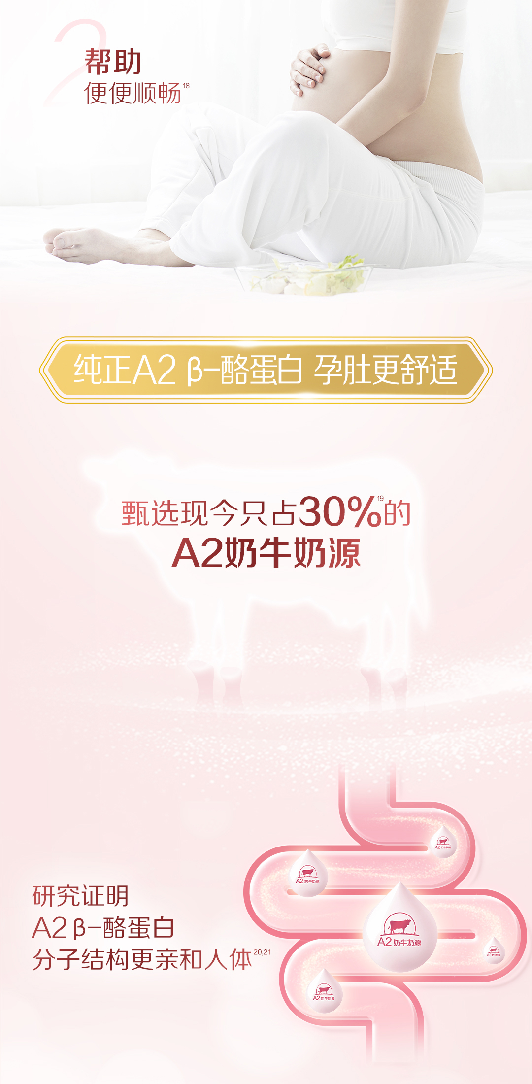 illumcare-spp-20231101_06.jpg