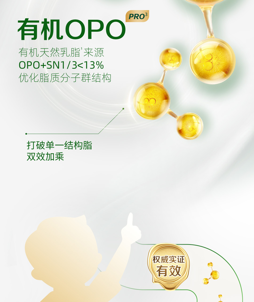 organic-stage3-intro-20231031_07.jpg